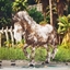 More Equus (Crossplay) logo