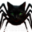 SpideyCat logo