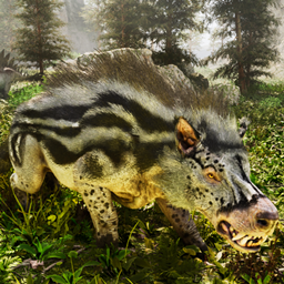 Andrewsarchus: Ported