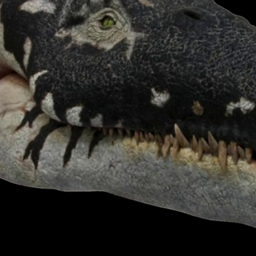 Liopleurodon WWD V2 Test Mod