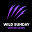 WildSunday The Center Map Extension logo