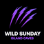 WildSunday Island Map Extension logo