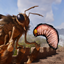 Queen Bee Larva logo