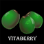 Vitaberry logo
