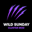 WildSunday Main Mod logo