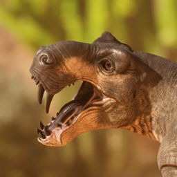 Origin Creations - Rubidgea