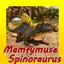 Mamfymuse Spinosaurus logo