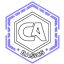 CAA: Cosplay Ascended Basics logo