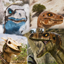 TR Raptor Skin Pack logo