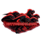 NottOrdinaryMod logo