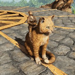 Rideable Cat