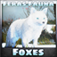 Feras Fauna: Foxes logo