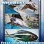 Feras Creature Reforged: Wild Seas logo