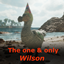 The one and only Wilson! logo