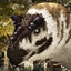 Piggle's Nanuqsaurus logo
