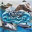 Feras Creature Reforged: Wild Seas logo