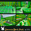 Summer Bonk & Bounce Park (Interactive) logo