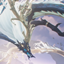 Jue_SnowDragon_Skin logo