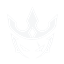 Sanyxs Cosmetic logo