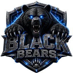 Black Bears Server Mod project image