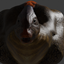 Obese &  Super Chonk Paras logo
