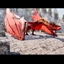 Serpent Wyverns logo