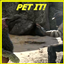 Pet it! (Cross-play) logo