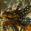 Velonasaur: Port and Tweaks [Crossplay] logo