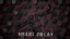 Smart Decay logo