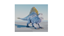 Improved Spino logo