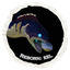 Reborn: Eel logo