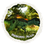 Reborn: Allo logo