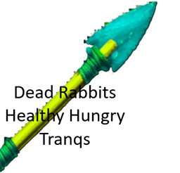 Dead Rabbits - Healthy Hungry Tranqz